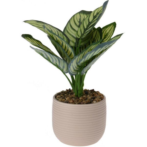 Umelá Calathea v keramickom kvetináči, 12 x 26 cm, béžová, umelé kvety na hrob, umele kvety na hrob, umelé kvety na hroby, lacne umele kvety na hrob, umele kytice na hrob, umele kytice na hroby, umelé ikebany na hrob, umele ikebany na hroby, umele ikebany na hrob, kvety na hrob umele, kytice na hroby umele