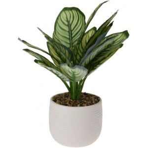 Umelá Calathea v keramickom kvetináči, 12 x 26 cm, biela, umelé kvety na hrob, umele kvety na hrob, umelé kvety na hroby, lacne umele kvety na hrob, umele kytice na hrob, umele kytice na hroby, umelé ikebany na hrob, umele ikebany na hroby, umele ikebany na hrob, kvety na hrob umele, kytice na hroby umele