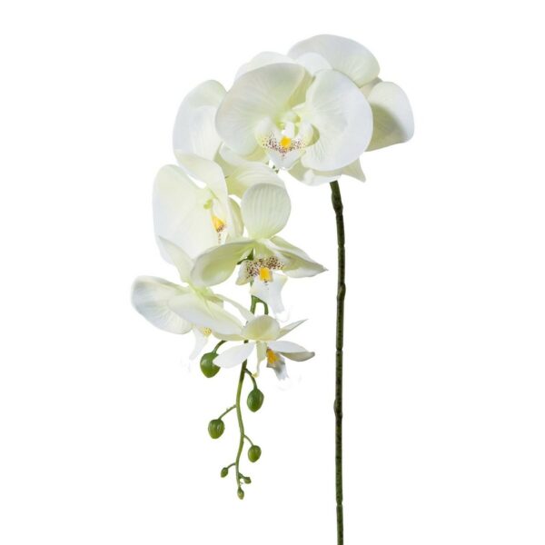 Umelá Orchidea biela, 86 cm 305303-50, umelé kvety na hrob, umele kvety na hrob, umelé kvety na hroby, lacne umele kvety na hrob, umele kytice na hrob, umele kytice na hroby, umelé ikebany na hrob, umele ikebany na hroby, umele ikebany na hrob, kvety na hrob umele, kytice na hroby umele