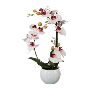 Umelá Orchidea v keramickom kvetináči biela, 42 cm 1118033-10, umelé kvety na hrob, umele kvety na hrob, umelé kvety na hroby, lacne umele kvety na hrob, umele kytice na hrob, umele kytice na hroby, umelé ikebany na hrob, umele ikebany na hroby, umele ikebany na hrob, kvety na hrob umele, kytice na hroby umele