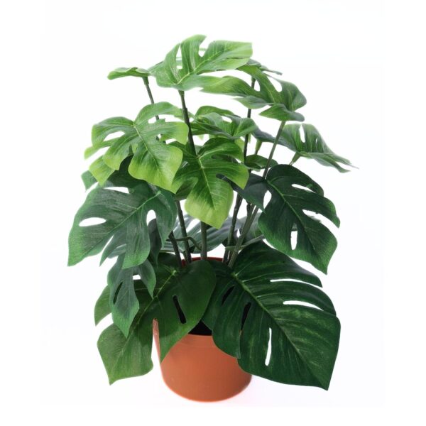 Umelá monstera v kvetináči, 27 cm, umelé kvety na hrob, umele kvety na hrob, umelé kvety na hroby, lacne umele kvety na hrob, umele kytice na hrob, umele kytice na hroby, umelé ikebany na hrob, umele ikebany na hroby, umele ikebany na hrob, kvety na hrob umele, kytice na hroby umele