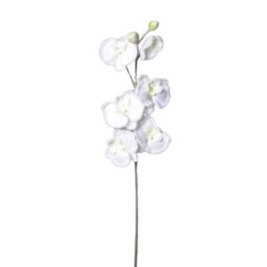 Umelá zasnežená Orchidea biela, 81 cm, umelé kvety na hrob, umele kvety na hrob, umelé kvety na hroby, lacne umele kvety na hrob, umele kytice na hrob, umele kytice na hroby, umelé ikebany na hrob, umele ikebany na hroby, umele ikebany na hrob, kvety na hrob umele, kytice na hroby umele