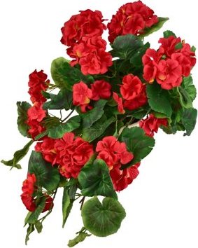 DOMMIO Muškát převislý červený v keramickém květináči 50 × 35 cm, umelé kvety na hrob, umele kvety na hrob, umelé kvety na hroby, lacne umele kvety na hrob, umele kytice na hrob, umele kytice na hroby, umelé ikebany na hrob, umele ikebany na hroby, umele ikebany na hrob, kvety na hrob umele, kytice na hroby umele