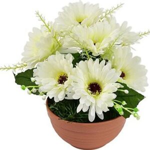 DOMMIO Gerbery krémové 7 kvetov v terakotovej miske, priemer 22/24 cm, umelé kvety na hrob, umele kvety na hrob, umelé kvety na hroby, lacne umele kvety na hrob, umele kytice na hrob, umele kytice na hroby, umelé ikebany na hrob, umele ikebany na hroby, umele ikebany na hrob, kvety na hrob umele, kytice na hroby umele