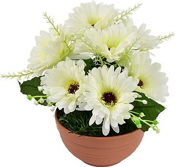 DOMMIO Gerbery krémové 7 kvetov v terakotovej miske, priemer 22/24 cm, umelé kvety na hrob, umele kvety na hrob, umelé kvety na hroby, lacne umele kvety na hrob, umele kytice na hrob, umele kytice na hroby, umelé ikebany na hrob, umele ikebany na hroby, umele ikebany na hrob, kvety na hrob umele, kytice na hroby umele