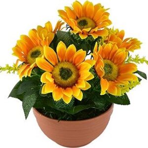 DOMMIO Slnečnice 7 kvetov v terakotovej miske, priemer 24/26 cm, umelé kvety na hrob, umele kvety na hrob, umelé kvety na hroby, lacne umele kvety na hrob, umele kytice na hrob, umele kytice na hroby, umelé ikebany na hrob, umele ikebany na hroby, umele ikebany na hrob, kvety na hrob umele, kytice na hroby umele