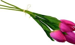 DOMMIO Zväzok 3 ks tulipánov, vínové, 50 cm, umelé kvety na hrob, umele kvety na hrob, umelé kvety na hroby, lacne umele kvety na hrob, umele kytice na hrob, umele kytice na hroby, umelé ikebany na hrob, umele ikebany na hroby, umele ikebany na hrob, kvety na hrob umele, kytice na hroby umele