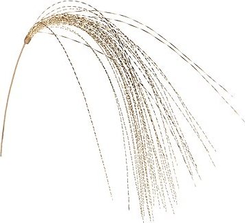 LAALU Dekoračný kvet zlatá 91 cm, umelé kvety na hrob, umele kvety na hrob, umelé kvety na hroby, lacne umele kvety na hrob, umele kytice na hrob, umele kytice na hroby, umelé ikebany na hrob, umele ikebany na hroby, umele ikebany na hrob, kvety na hrob umele, kytice na hroby umele