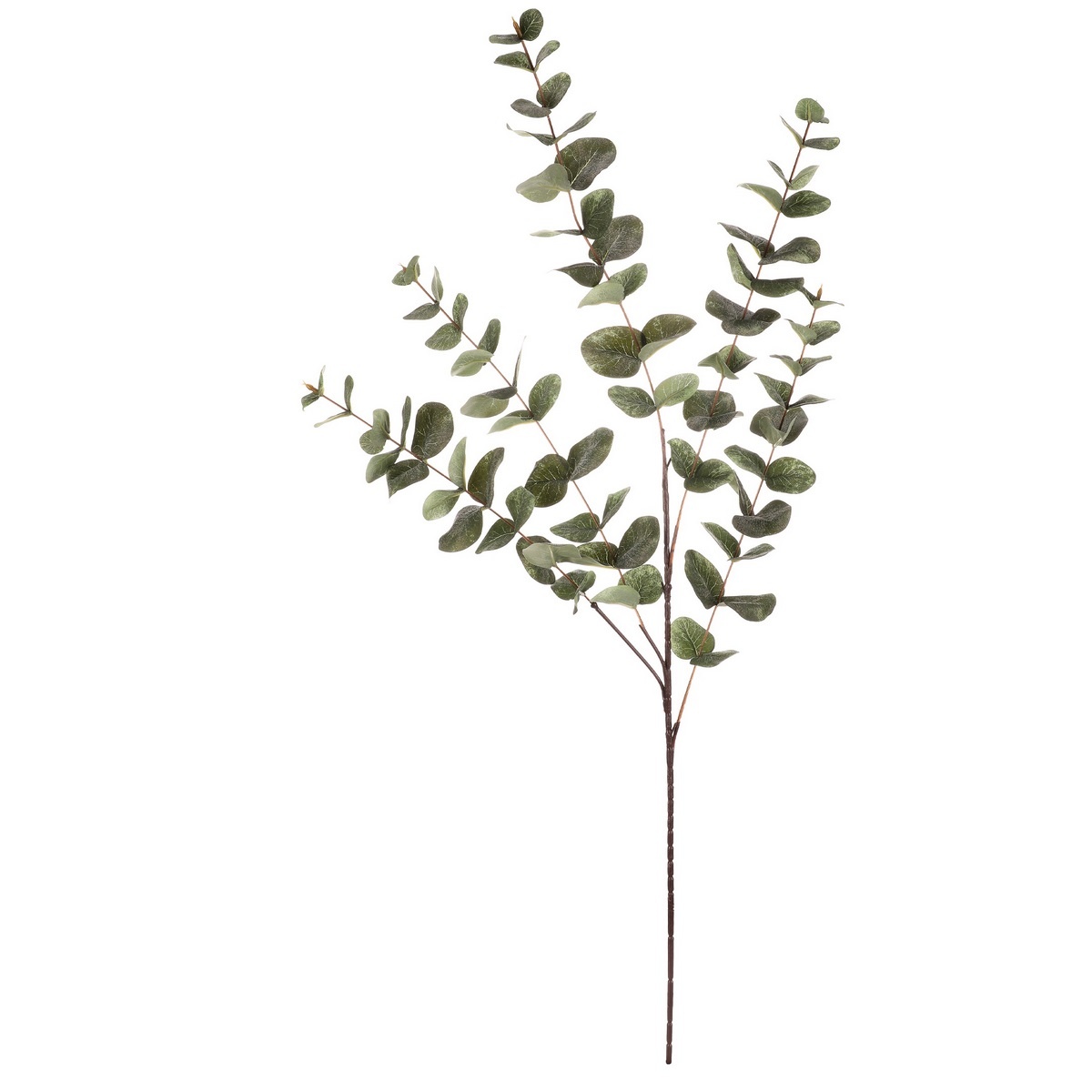 Eukalyptus - umelá vetva, veľké listy, 100 cm, zelená, umelé kvety na hrob, umele kvety na hrob, umelé kvety na hroby, lacne umele kvety na hrob, umele kytice na hrob, umele kytice na hroby, umelé ikebany na hrob, umele ikebany na hroby, umele ikebany na hrob, kvety na hrob umele, kytice na hroby umele