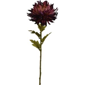 Umelá kvetina Chryzantéma 62 x 18 cm, fialová, umelé chryzantémy, umele chryzantemy, chryzantémy na hrob, chryzantémy eshop, chryzantémy predaj, chryzantéma predaj, chryzantémy v črepníku, mrazuvzdorné chryzantémy, mrazuvzdorné chryzantémy predaj, chryzantémy biele, biele chryzantémy, zelené chryzantémy, chryzantemy v kvetinaci