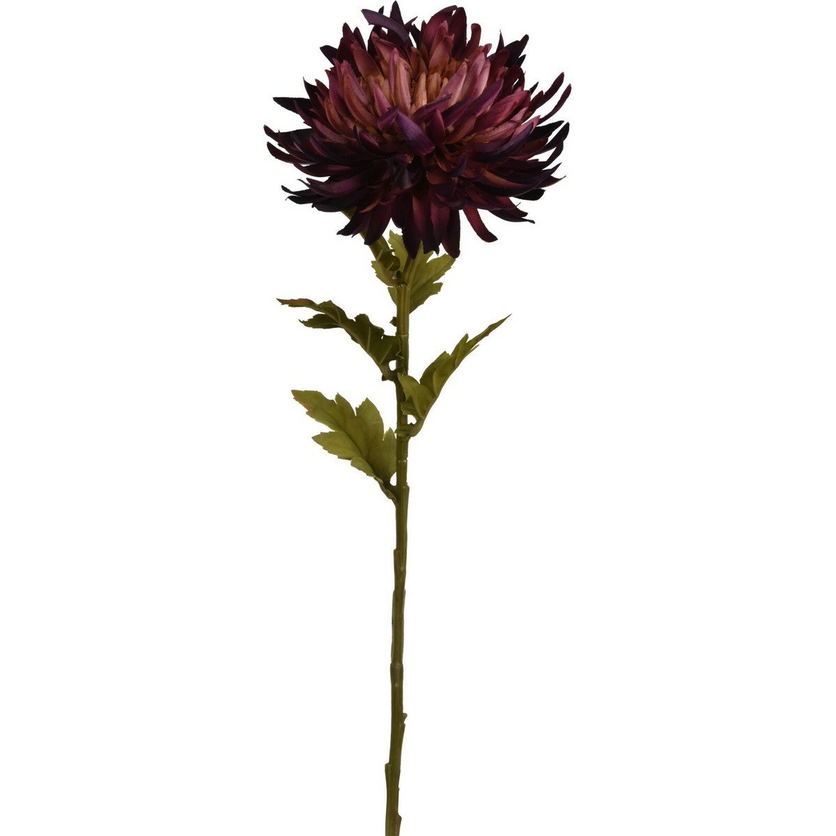 Umelá kvetina Chryzantéma 62 x 18 cm, fialová, umelé chryzantémy, umele chryzantemy, chryzantémy na hrob, chryzantémy eshop, chryzantémy predaj, chryzantéma predaj, chryzantémy v črepníku, mrazuvzdorné chryzantémy, mrazuvzdorné chryzantémy predaj, chryzantémy biele, biele chryzantémy, zelené chryzantémy, chryzantemy v kvetinaci
