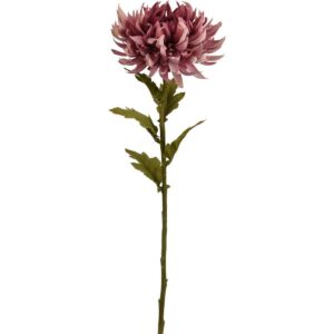 Umelá kvetina Chryzantéma 62 x 18 cm, staroružová, umelé chryzantémy, umele chryzantemy, chryzantémy na hrob, chryzantémy eshop, chryzantémy predaj, chryzantéma predaj, chryzantémy v črepníku, mrazuvzdorné chryzantémy, mrazuvzdorné chryzantémy predaj, chryzantémy biele, biele chryzantémy, zelené chryzantémy, chryzantemy v kvetinaci