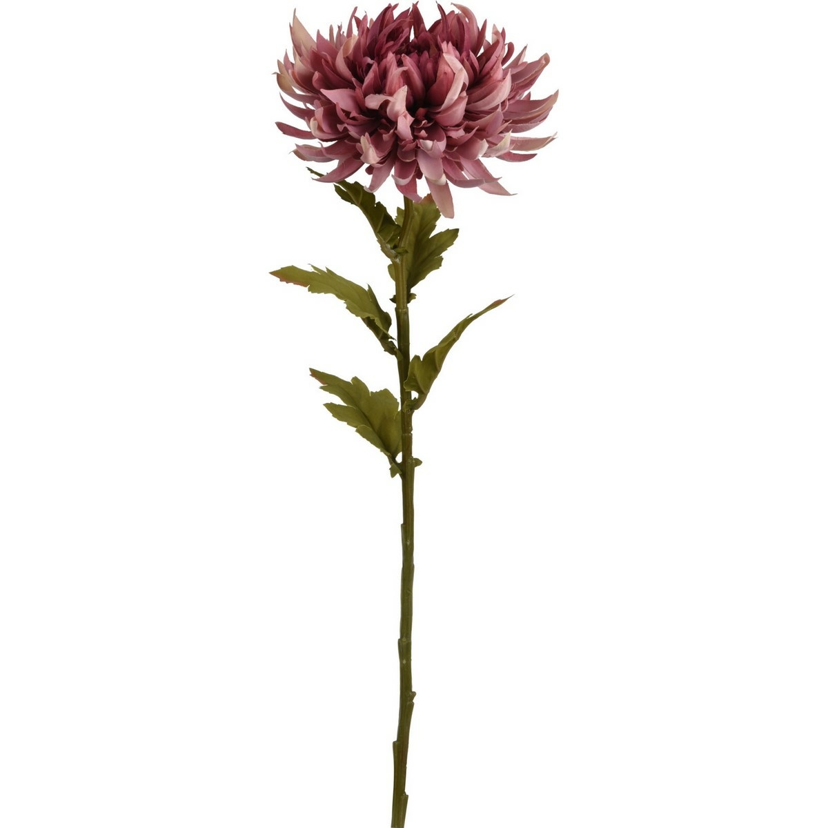 Umelá kvetina Chryzantéma 62 x 18 cm, staroružová, umelé chryzantémy, umele chryzantemy, chryzantémy na hrob, chryzantémy eshop, chryzantémy predaj, chryzantéma predaj, chryzantémy v črepníku, mrazuvzdorné chryzantémy, mrazuvzdorné chryzantémy predaj, chryzantémy biele, biele chryzantémy, zelené chryzantémy, chryzantemy v kvetinaci